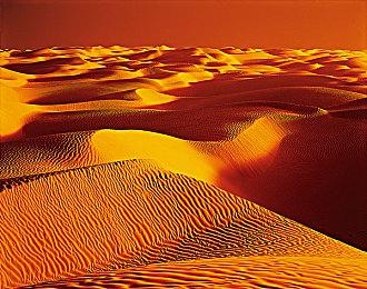 《人中之龙８》“热卖献礼！T 恤收藏礼包”发布中！