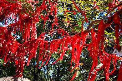 官方确认《真人快打1》将不再推出角色或剧情DLC